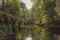 Wooded River Landscape