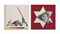 Gagarin, Star, Triangle