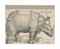 The Rhinoceros
(B. 136; M., Holl. 241; S.M.S. 241)