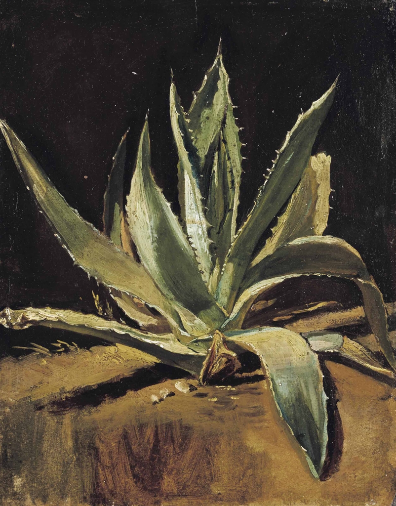 Shapely Aloe Vera Painting Canvas