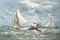 'Twenty miles to windward': The America's Cup, 1887, Volunteer versus Thistle