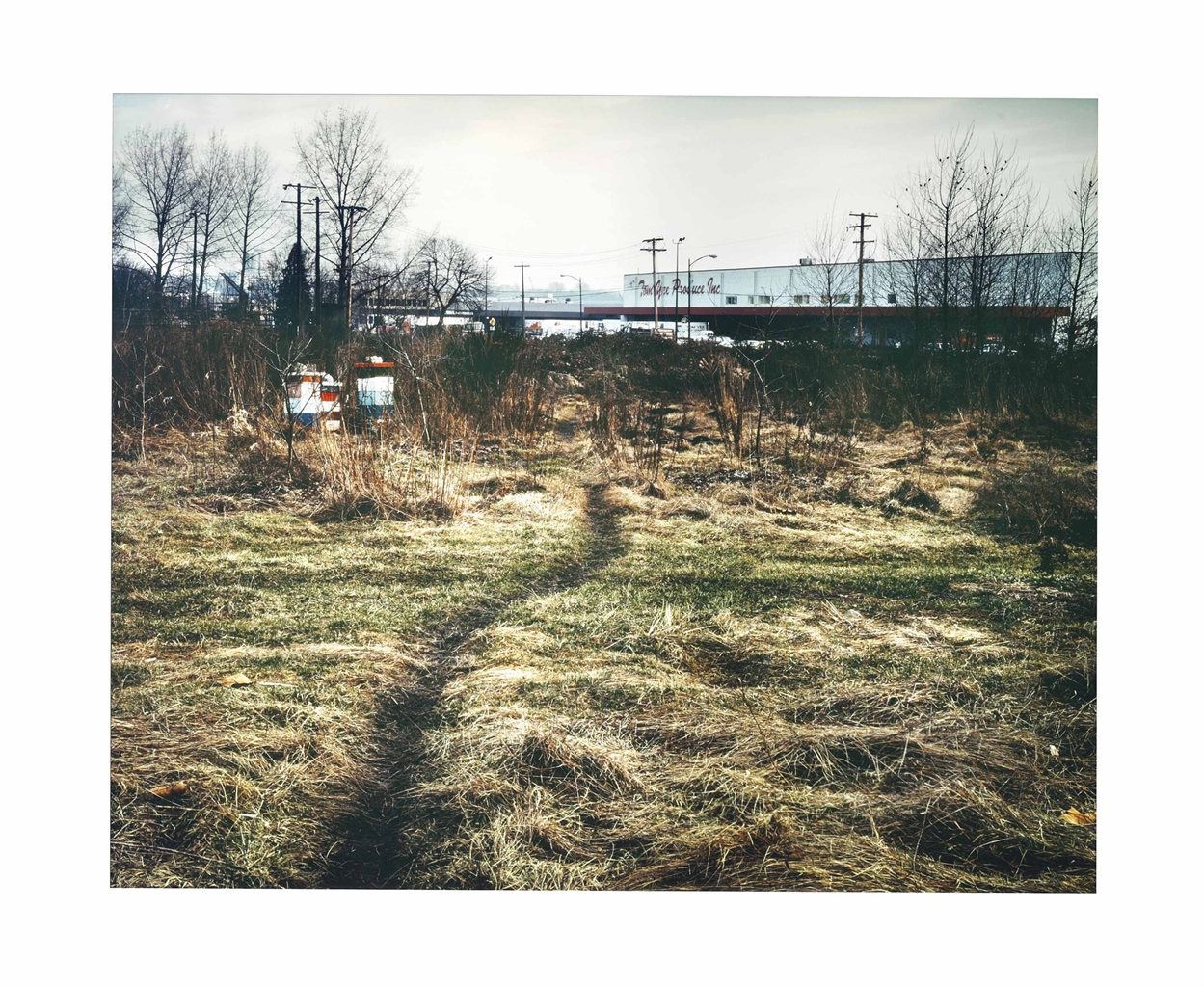 JEFF WALL (B. 1...