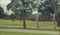 In the park