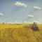 Threshing