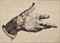 The artist's right hand