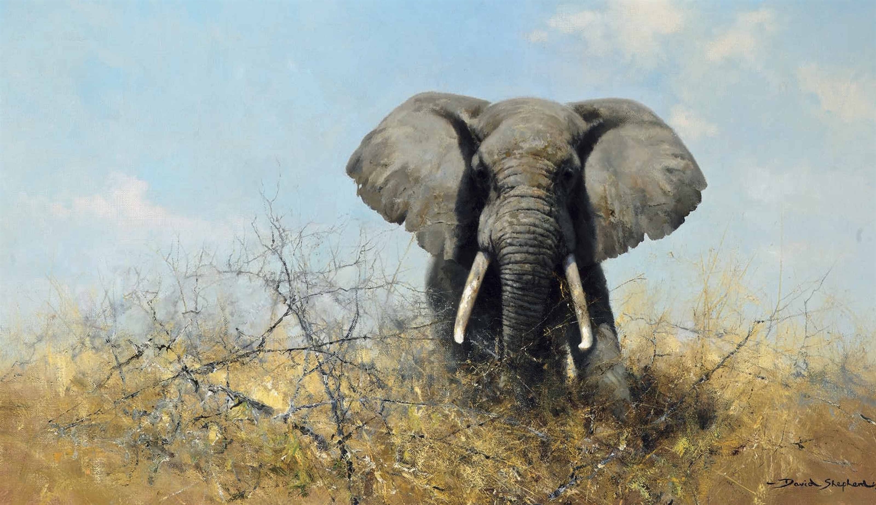 David Shepherd (b. 1930) An African elephant Paintings Christie's