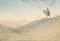 An Arab on a camel surveying the desert at dusk