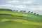 Going down to the gallops, Newmarket