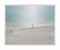 Untitled, #213-04 from On the Beach, 2004