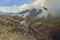 Red grouse, Glen Garry, Invernesshire, Scotland