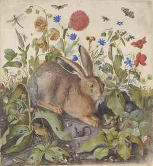 A hare among plants 