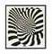 Zèbres (Zebras)