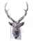 PIXCELL-DEER #10