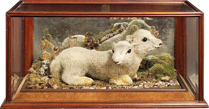 christies t rex