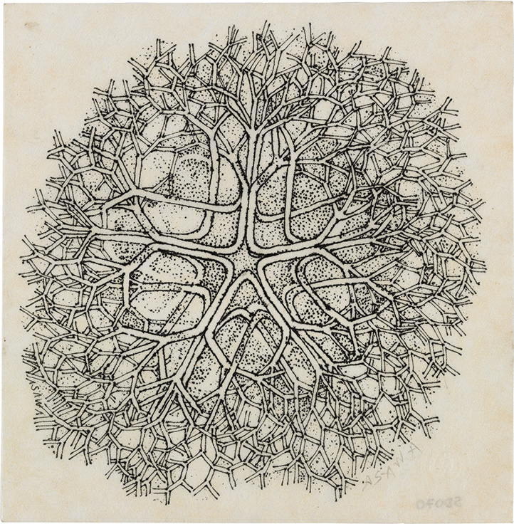 Ruth Asawa Line by Line Christie's