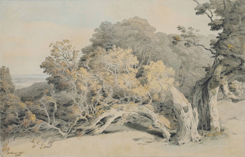 Francis Towne (Middlesex 1739-1816 London), A Study of a Tree Blown Down in Peamore Park, Near Exeter. Pencil, pen and grey ink and watercolour, on a double sketchbook page, laid down onto the original mount,. 11 x 17 in. (28 x 43.2 cm). Estimate £8,000-12,000. This lot is offered in Old Master & British Drawings on 5 July at Christie’s in London