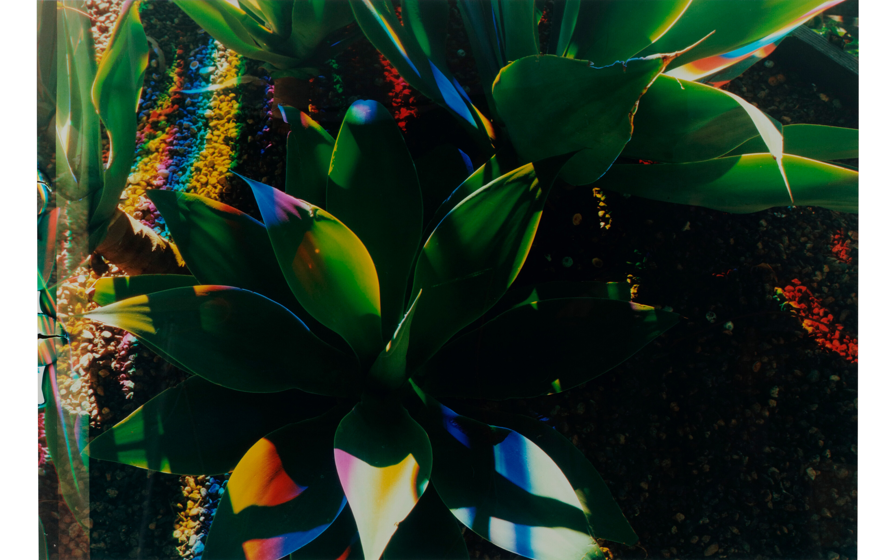 James Welling, H1, 2005, offered in The Proximus Art Collection: Selected Works until 3 October 2024 at Christie's Online