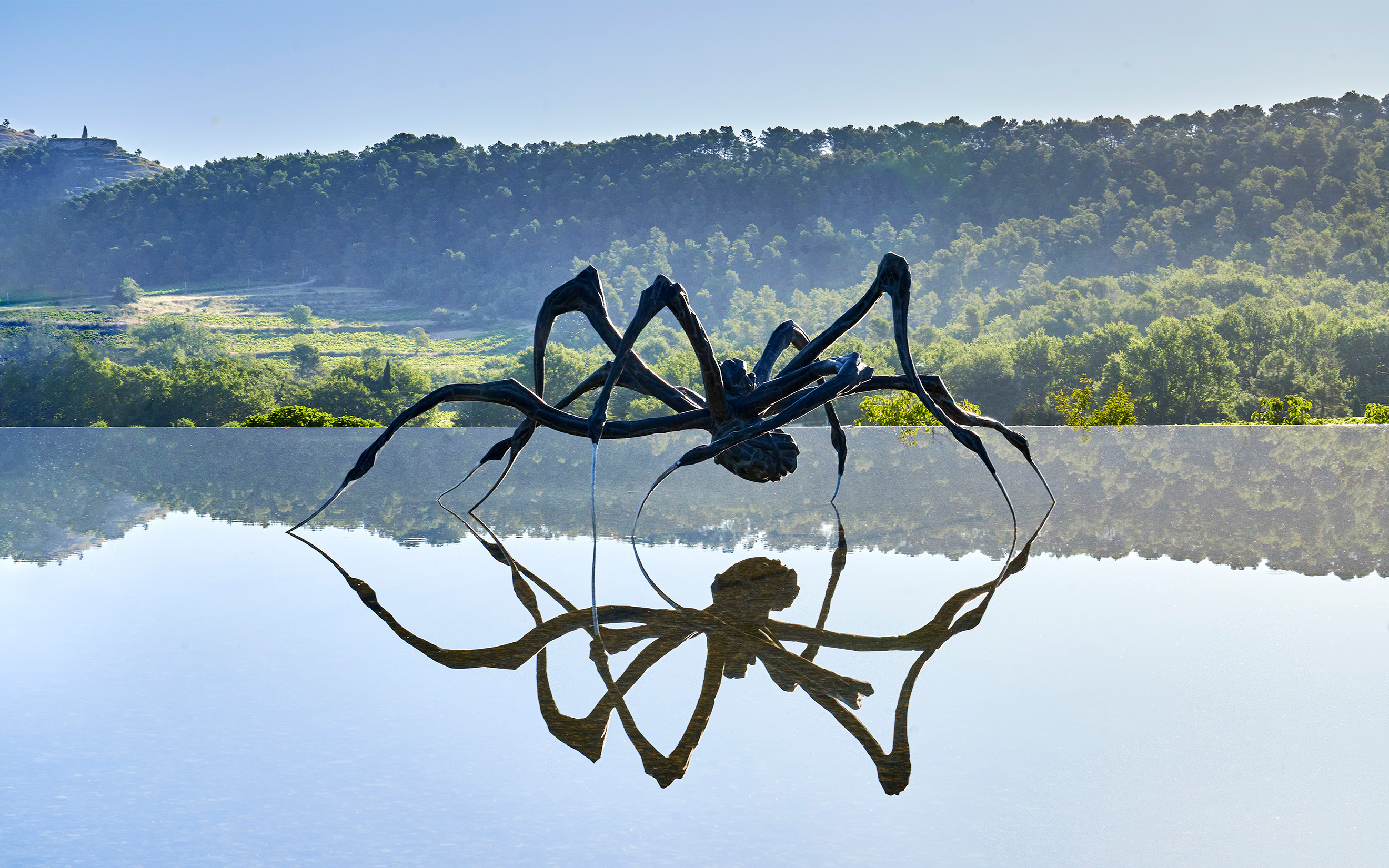 Louise Bourgeois’s 2003 sculpture Crouching Spider stands in a setting created specially for it by the architect Tadao Ando