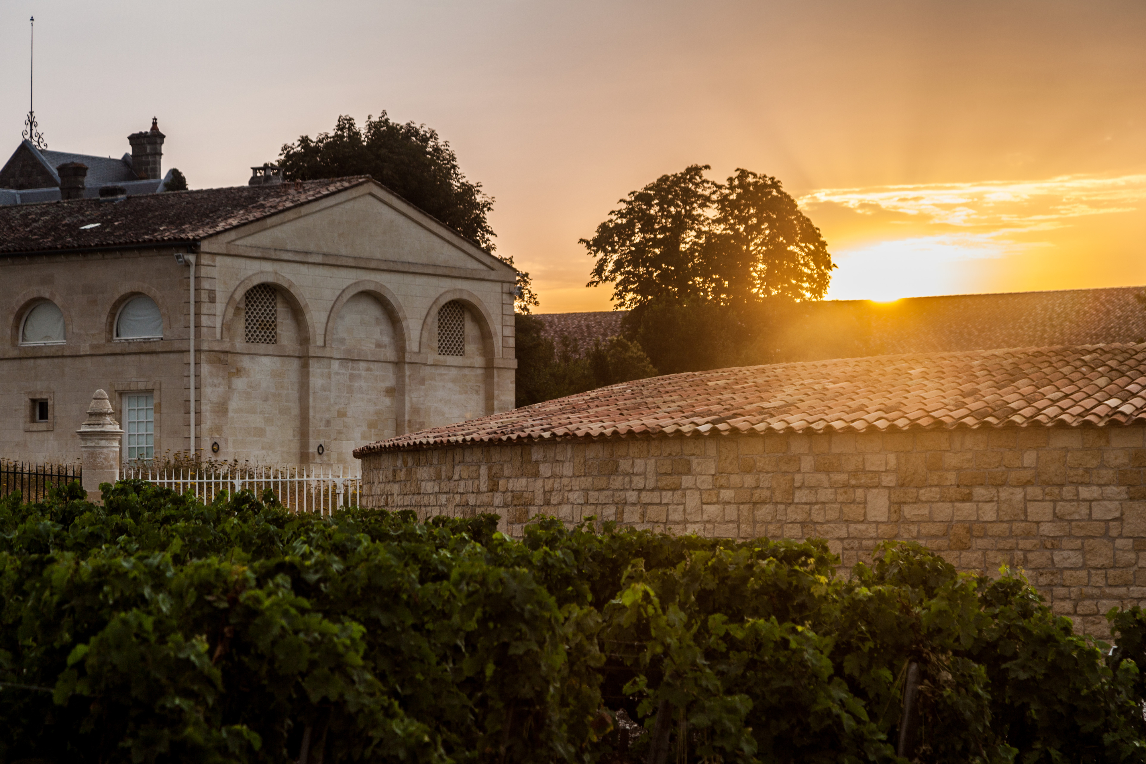 The Historic Cellar of Jürgen Schwarz