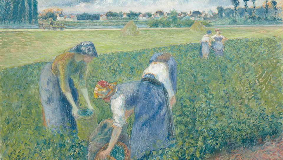 triton-pissaro-mainimage