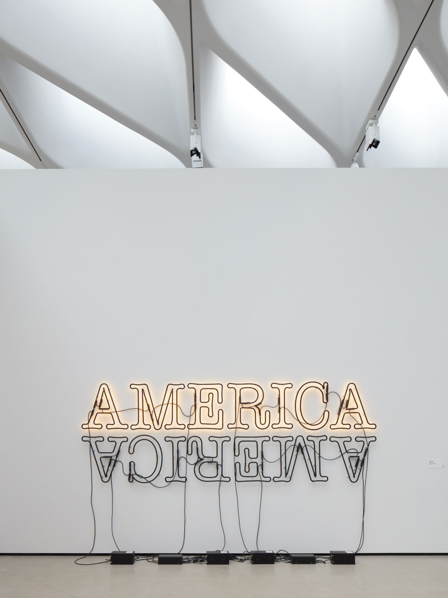 Glenn Ligon, Double America 2, 2014 &copy; Glenn Ligon