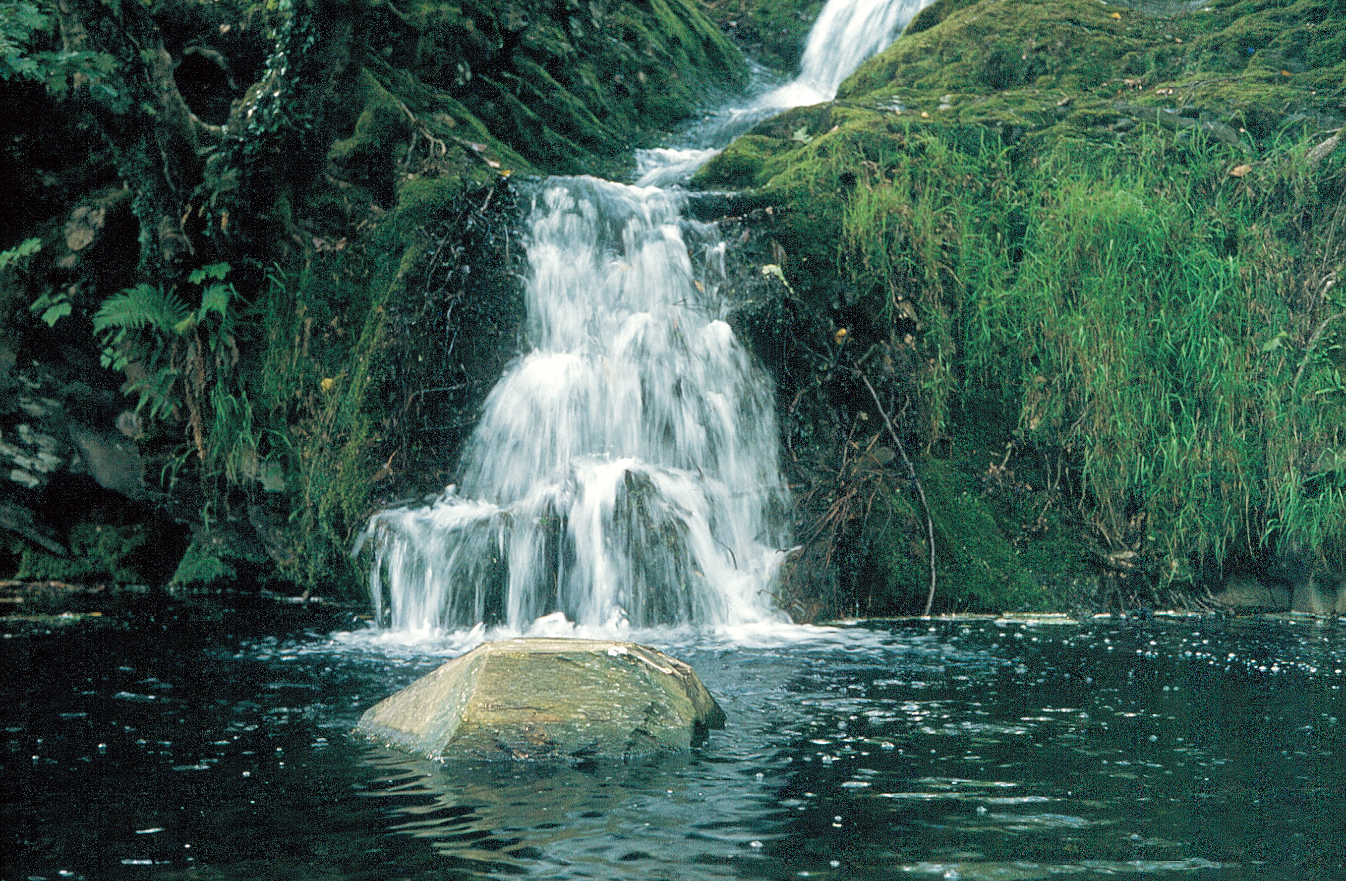 cluster13davidnashboulderjpg