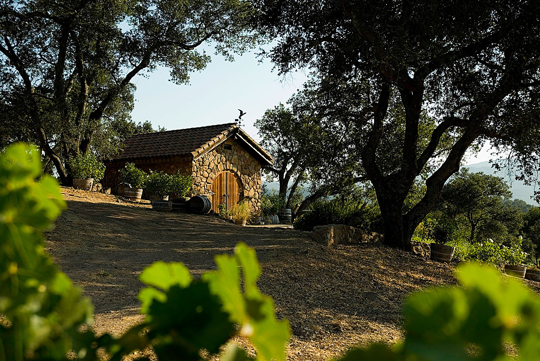 A view of the property at Screaming Eagle. Courtesy Screaming Eagle