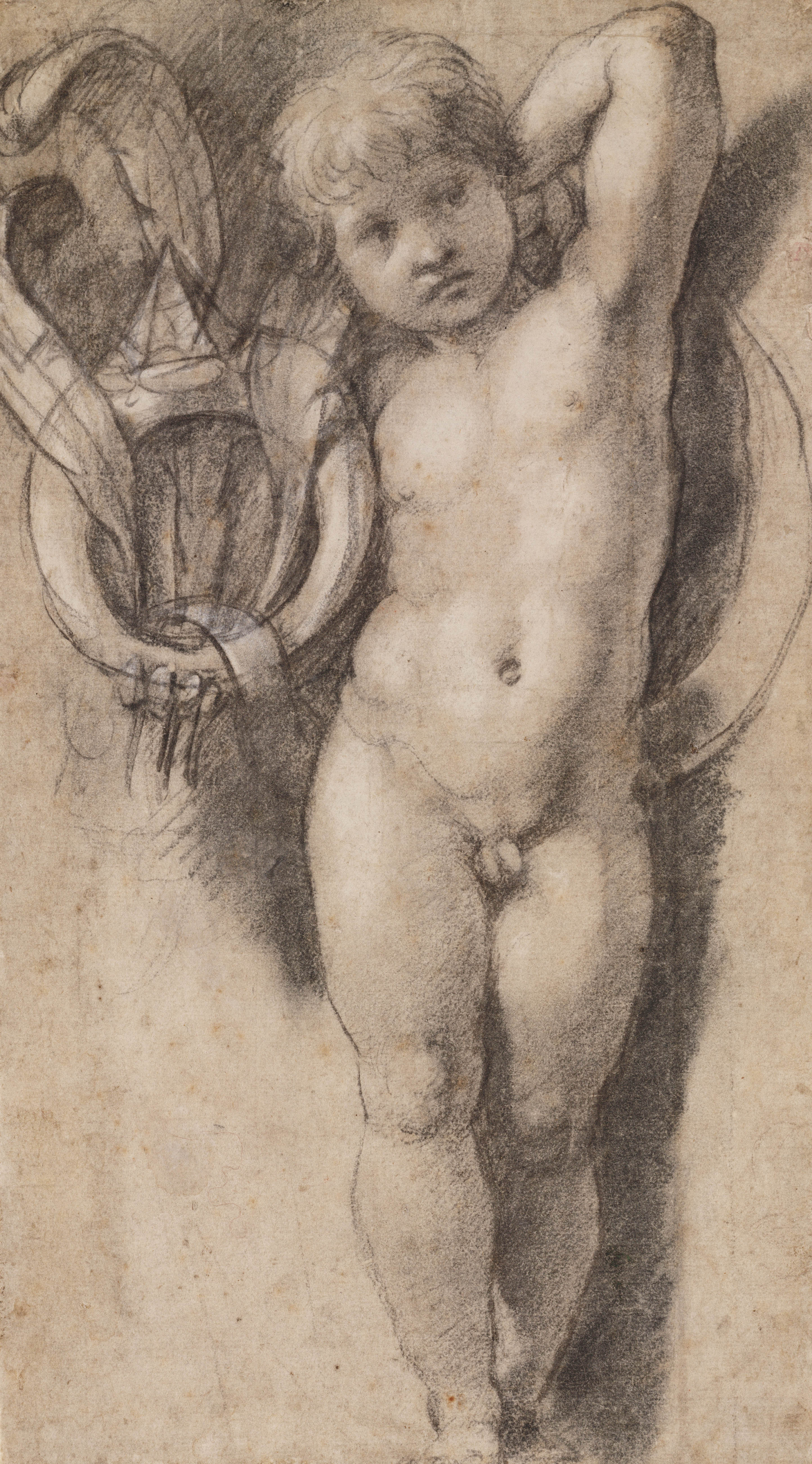 
Putto Holding the Medici Ring, c. 1513-14. Black chalk with white heightening, later framing lines in black chalk. 33.8 x 19.3 cm. &copy; Teylers Museum, Haarlem
