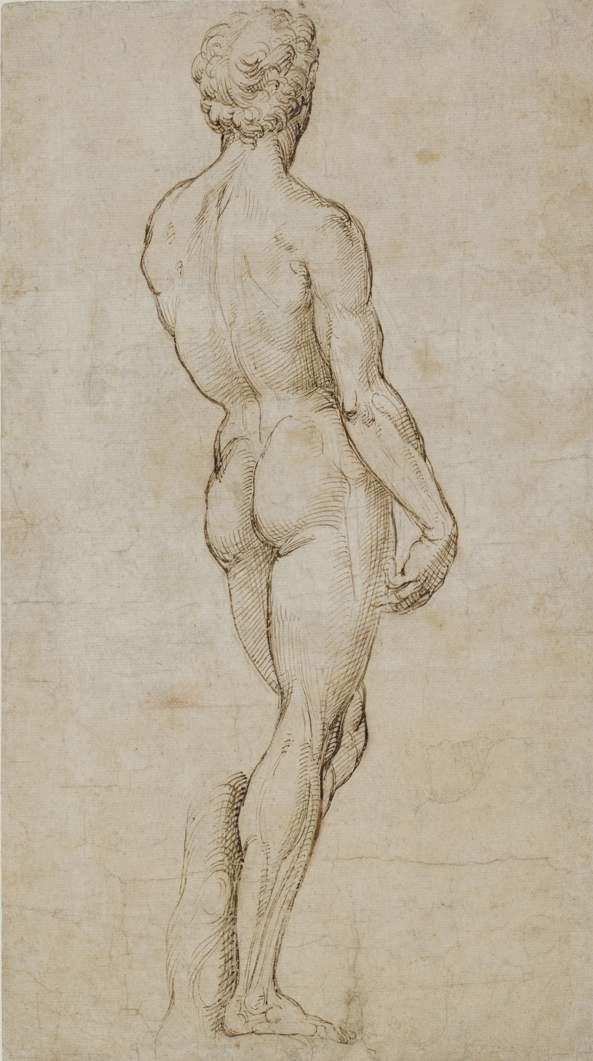 Study Inspired by Michelangelo’s David, c. 1504-5. Pen and brown ink over traces of black chalk. 39.6 x 21.9 cm. © Trustees of the British Museum