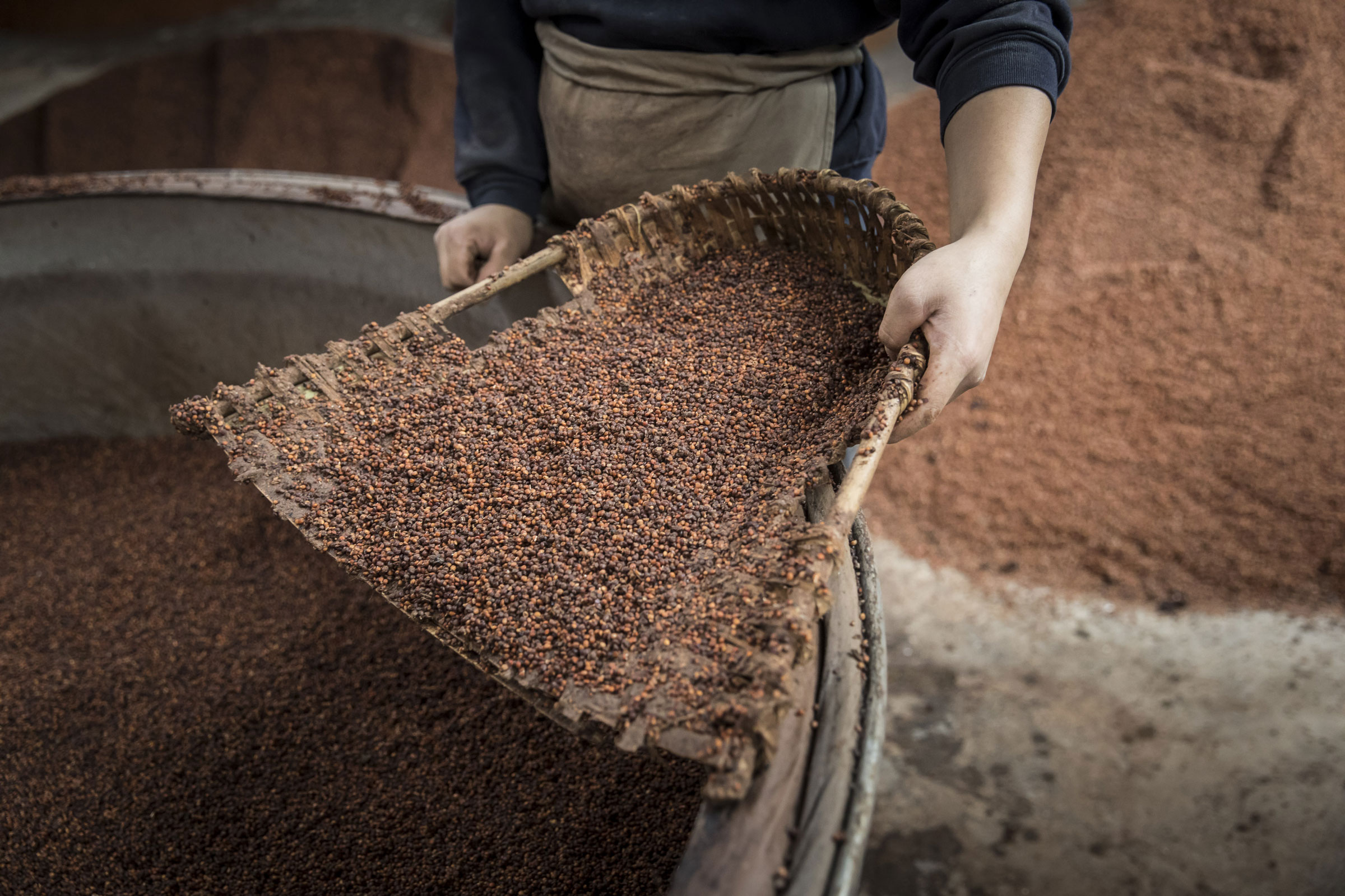 A wicker scoop filled with red sorghum, the key ingredient in the making of moutai