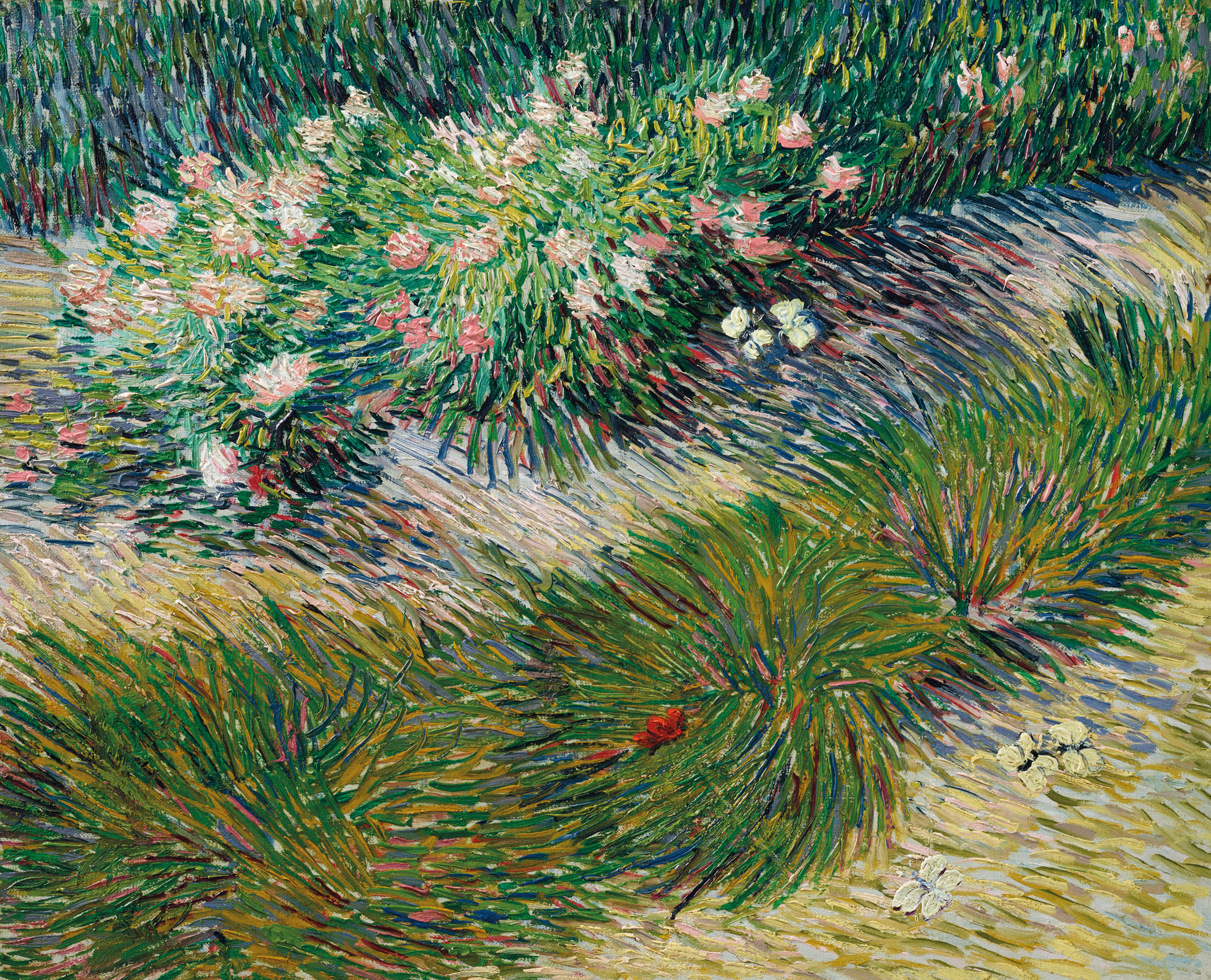Vincent van Gogh (1853-1890), Coin de jardin avec papillons, 1887. Oil on canvas. 19¾ x 24¼ in (50.4 x 61.4 cm). Estimate: on request. Offered on 11 November in the Impressionist and Modern Art Evening Sale at Christie’s in New York