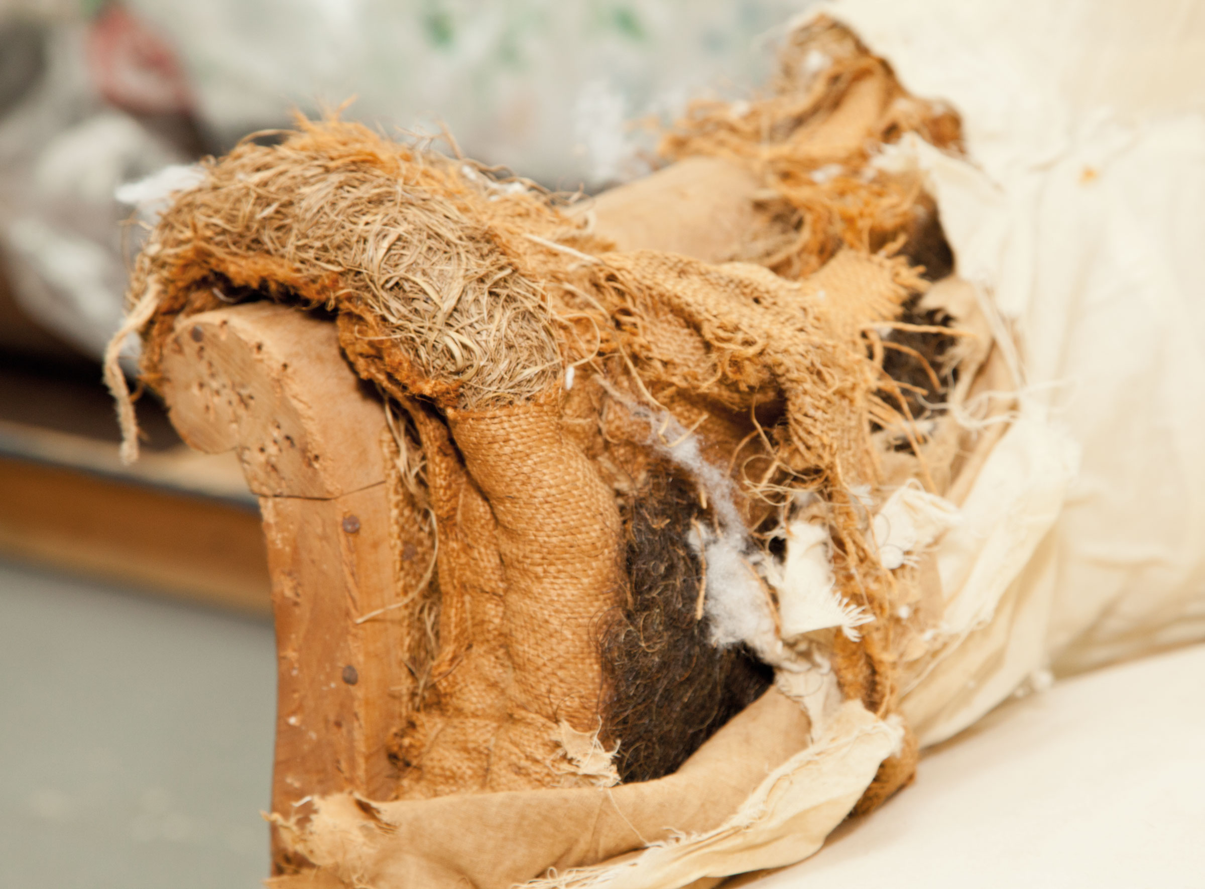 Horsehair, hay and cotton stuffing have been used in the settee’s armrest