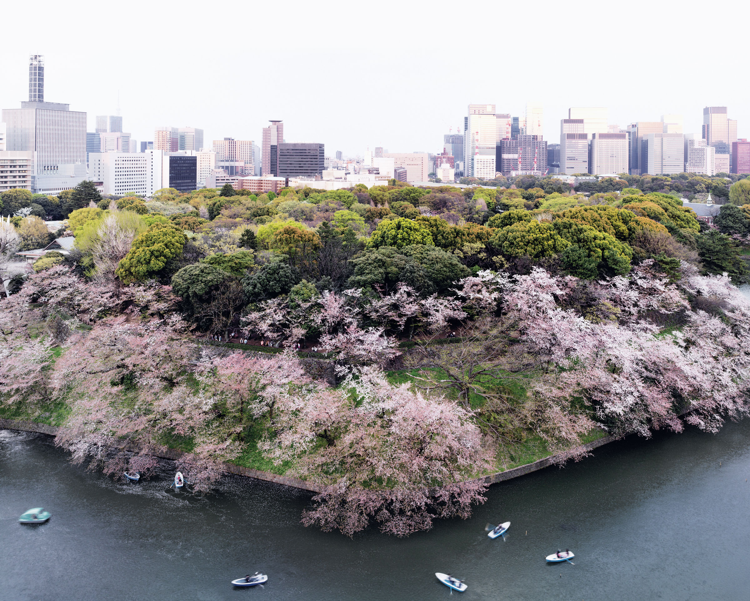 从陈泰铭东京居所眺望东京全景