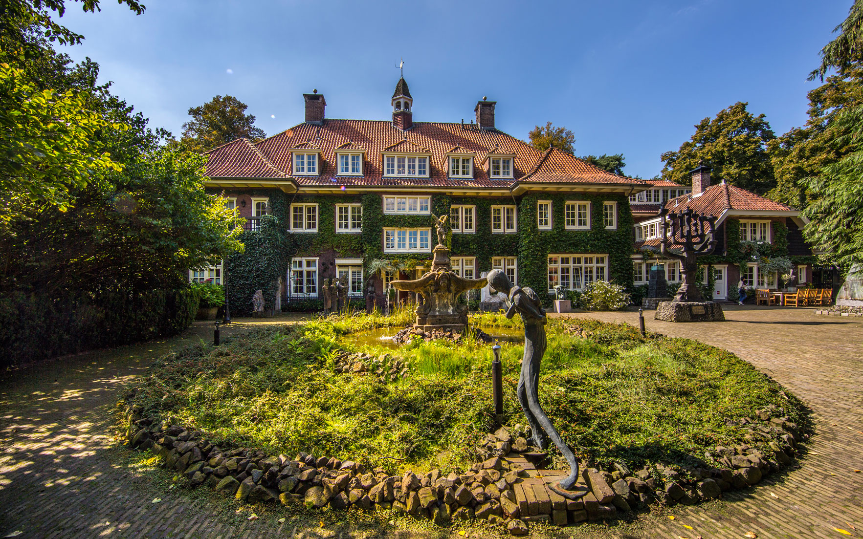 netherlands-ivy-1765