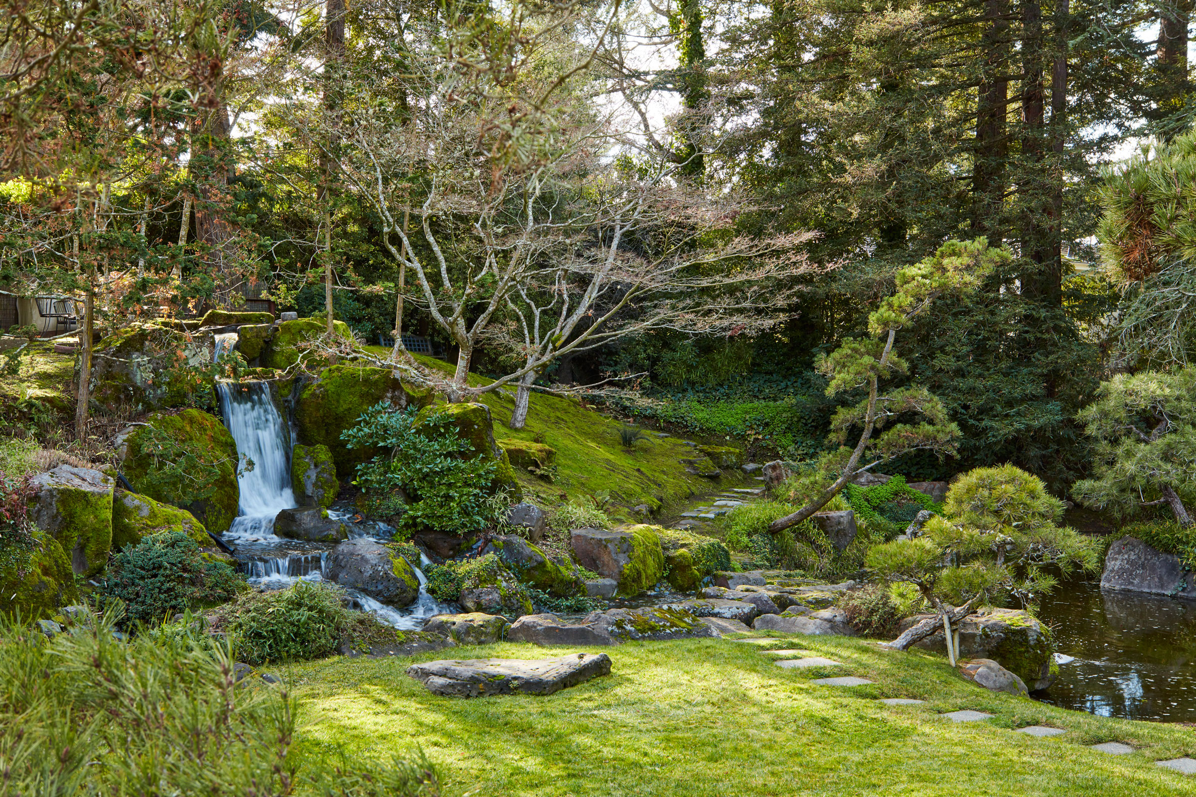 Ichinose家中的美麗日式庭園，由著名園景設計師齊藤勝雄設計
