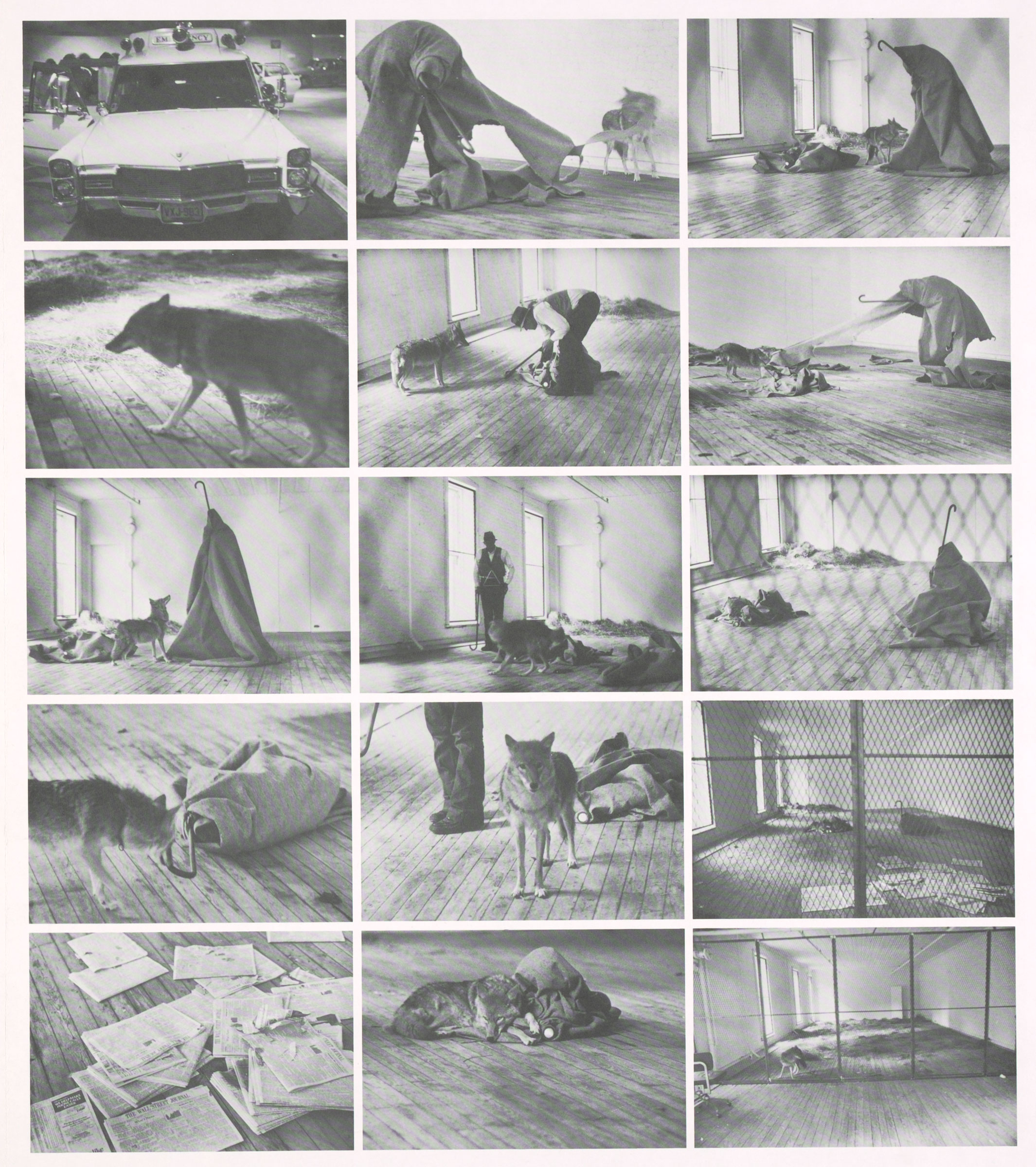 Detail of the poster produced to advertise an exhibition of photographs of Joseph Beuys’s Action, I Love America and America Loves Me, New York, 1974, by his collaborator Caroline Tisdall. Photo: © Tate. Artwork: © DACS 2020