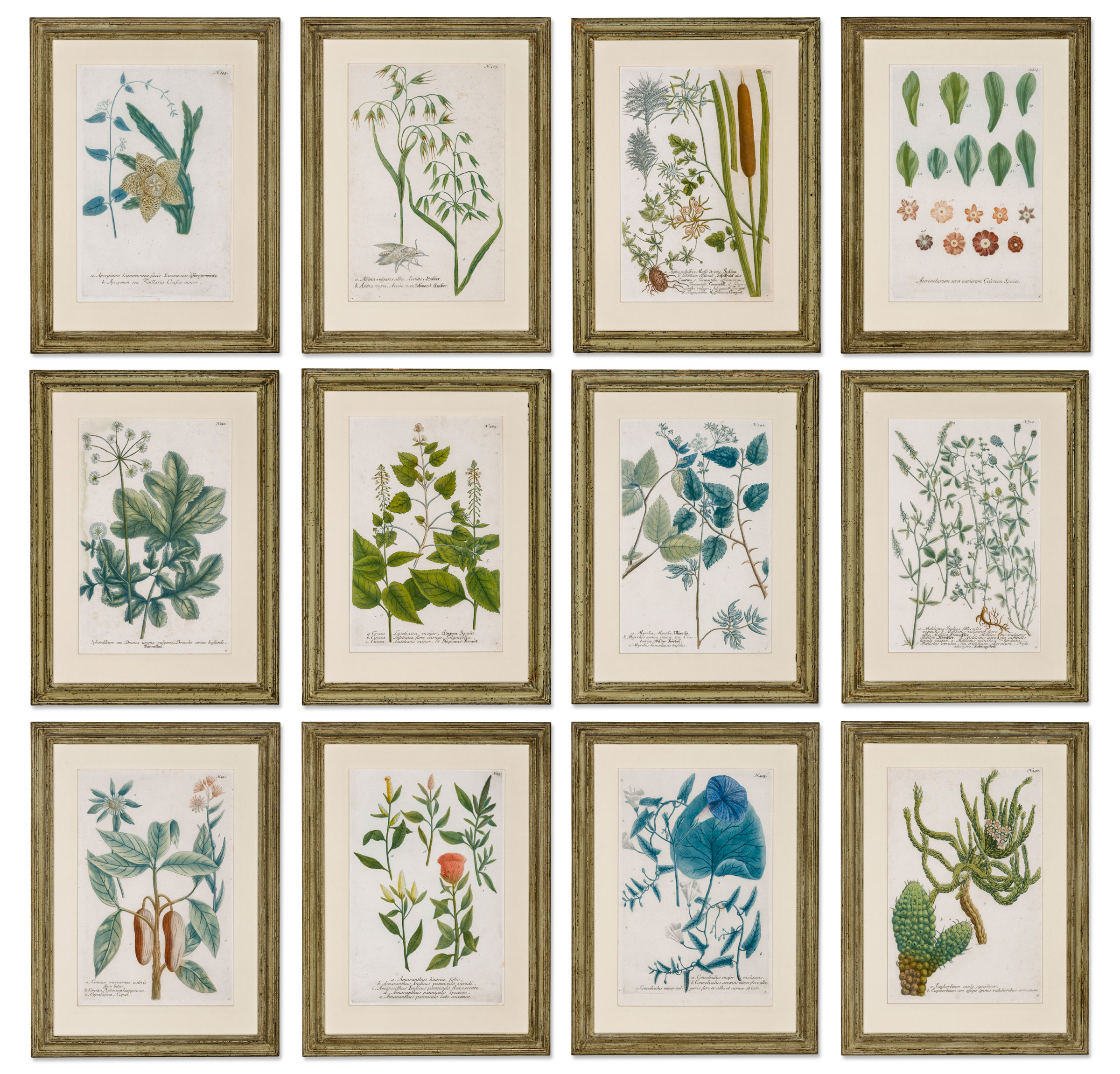 A set of 12 hand-coloured engravings of botanical specimens, 19th century. Each 18½ x 14 in (47 x 35.5 cm), framed. Estimate: £2,000-2,500. Offered in Alexandra Tolstoy: An Interior by Sibyl Colefax & John Fowler, 4-25 November, Online