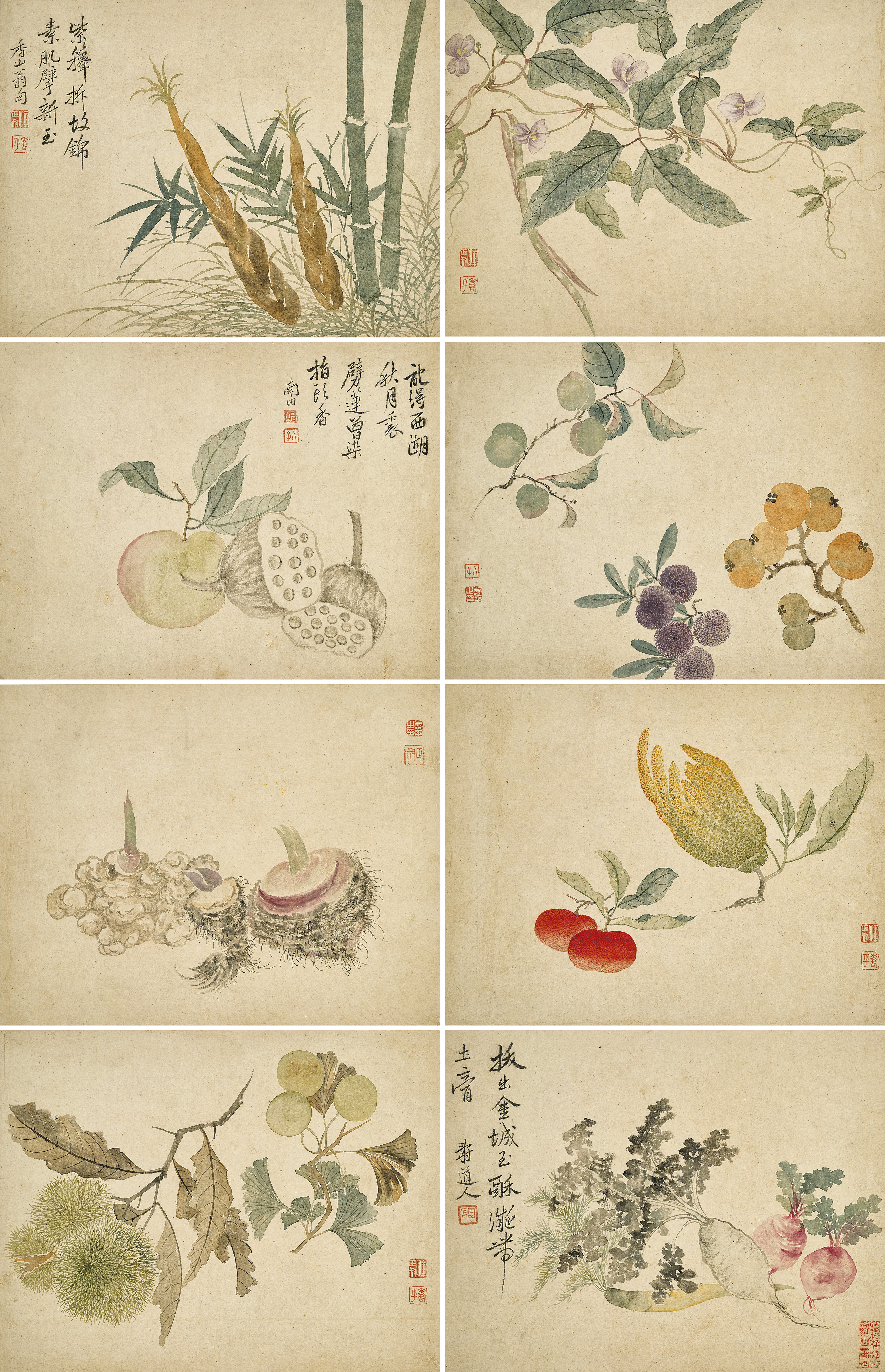 Yun Shouping (1633-1690), Flowers and Fruits Album. Album of eight leaves, ink and colour on paper. Each leaf measures 25.3 x 32.8 cm. (10 x 12 ⅞ in.). Estimate: HK$3,000,000 - 5,000,000. Offered in Fine Chinese Classical Paintings and Calligraphy on 2 December at Christie’s in Hong Kong. 