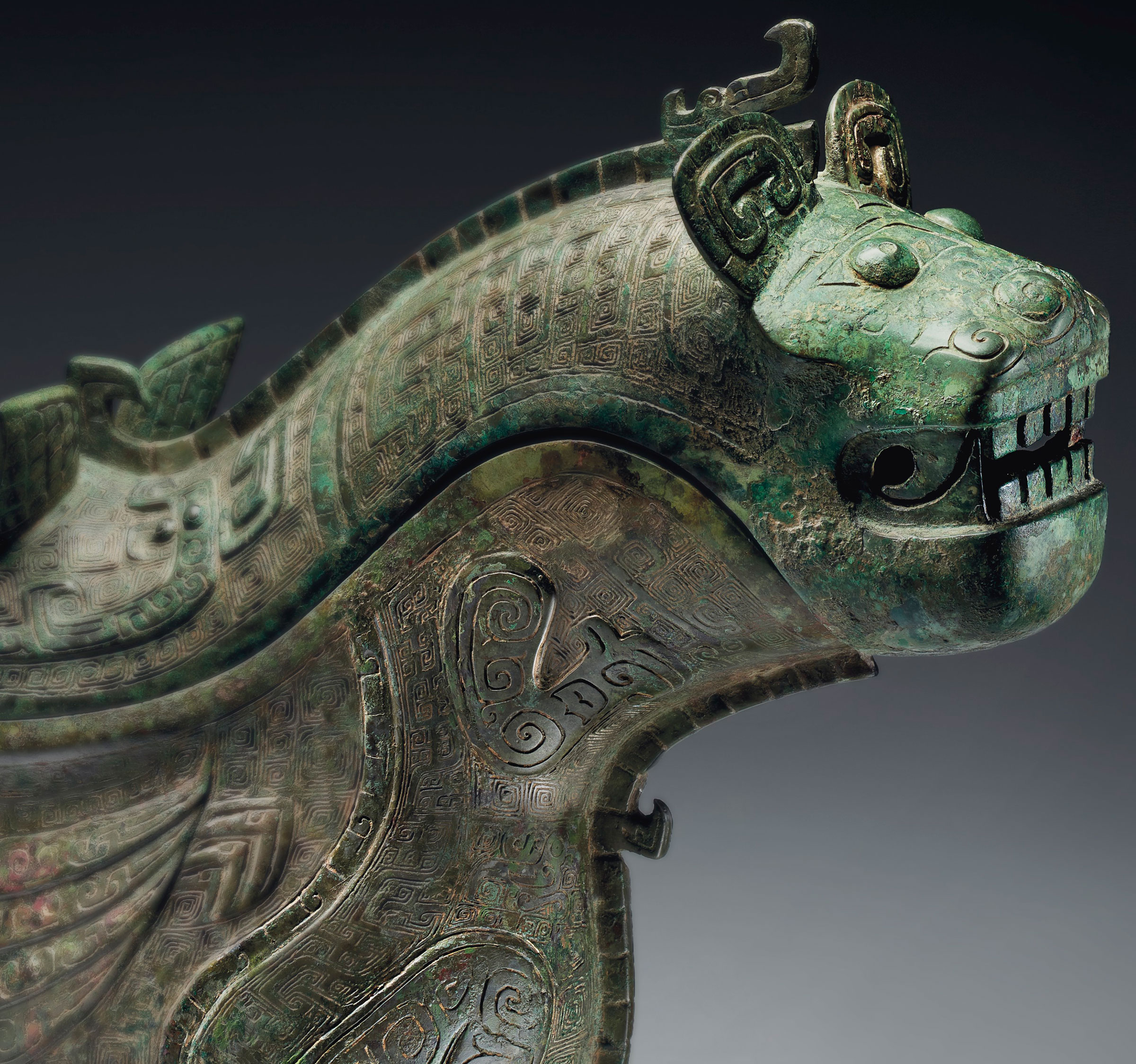 62946650-tiger-2400-new