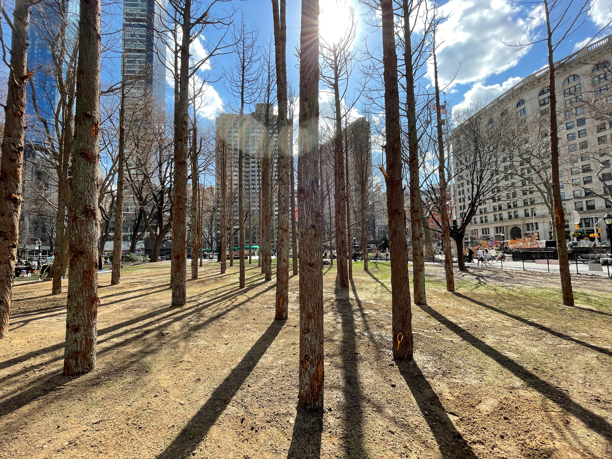 Ghost Forest, 2021. Maya Lin (American, b. 1959). Courtesy Maya Lin and Madison Square Park Conservancy. Photograph by Maya Lin Studio