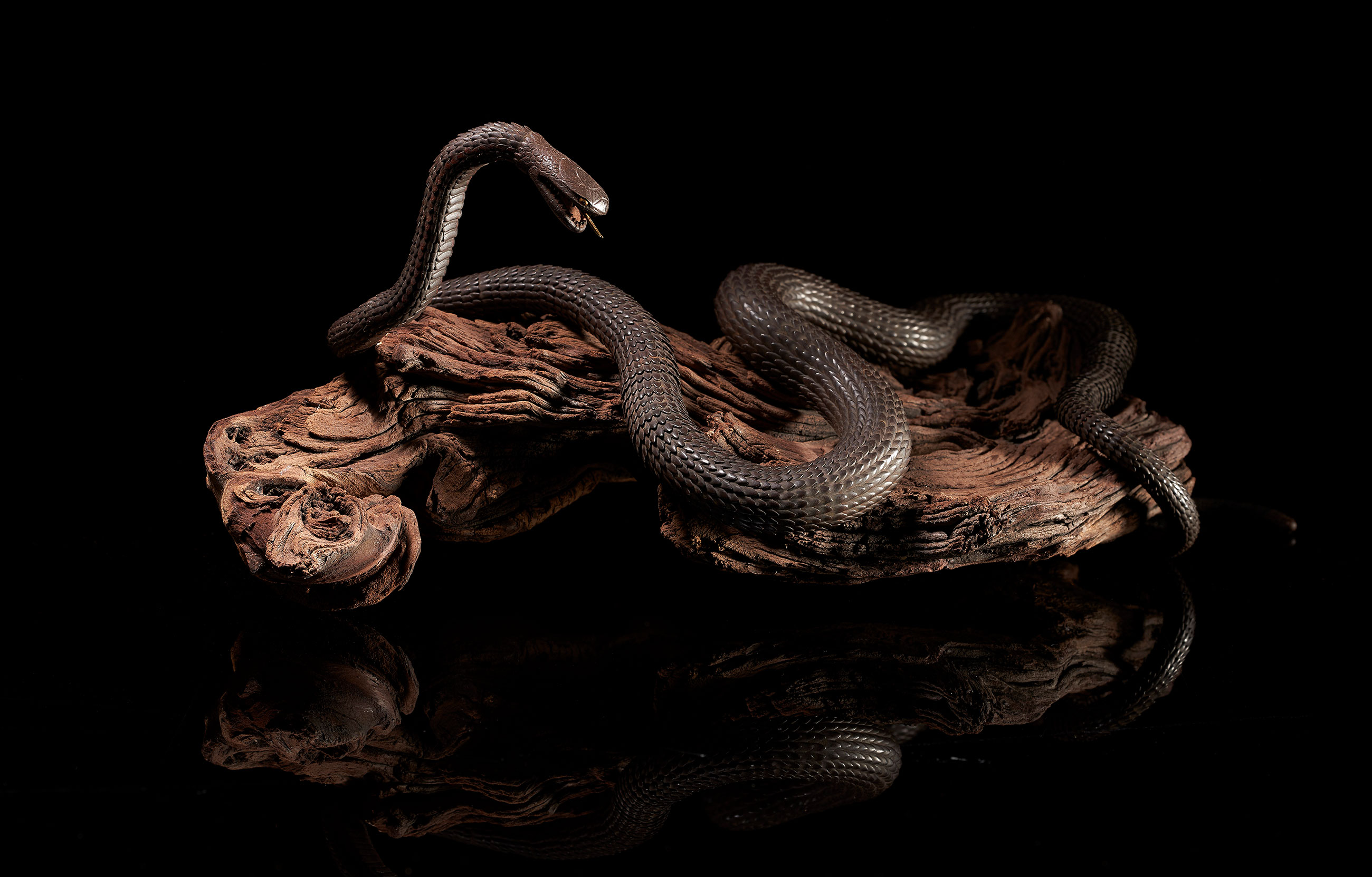 An iron articulated sculpture of a snake, Meiji period (late 19th century). Estimate: $30,000-40,000. Offered in Important Japanese Art on 21 September 2021 at Christie&rsquo;s in New York