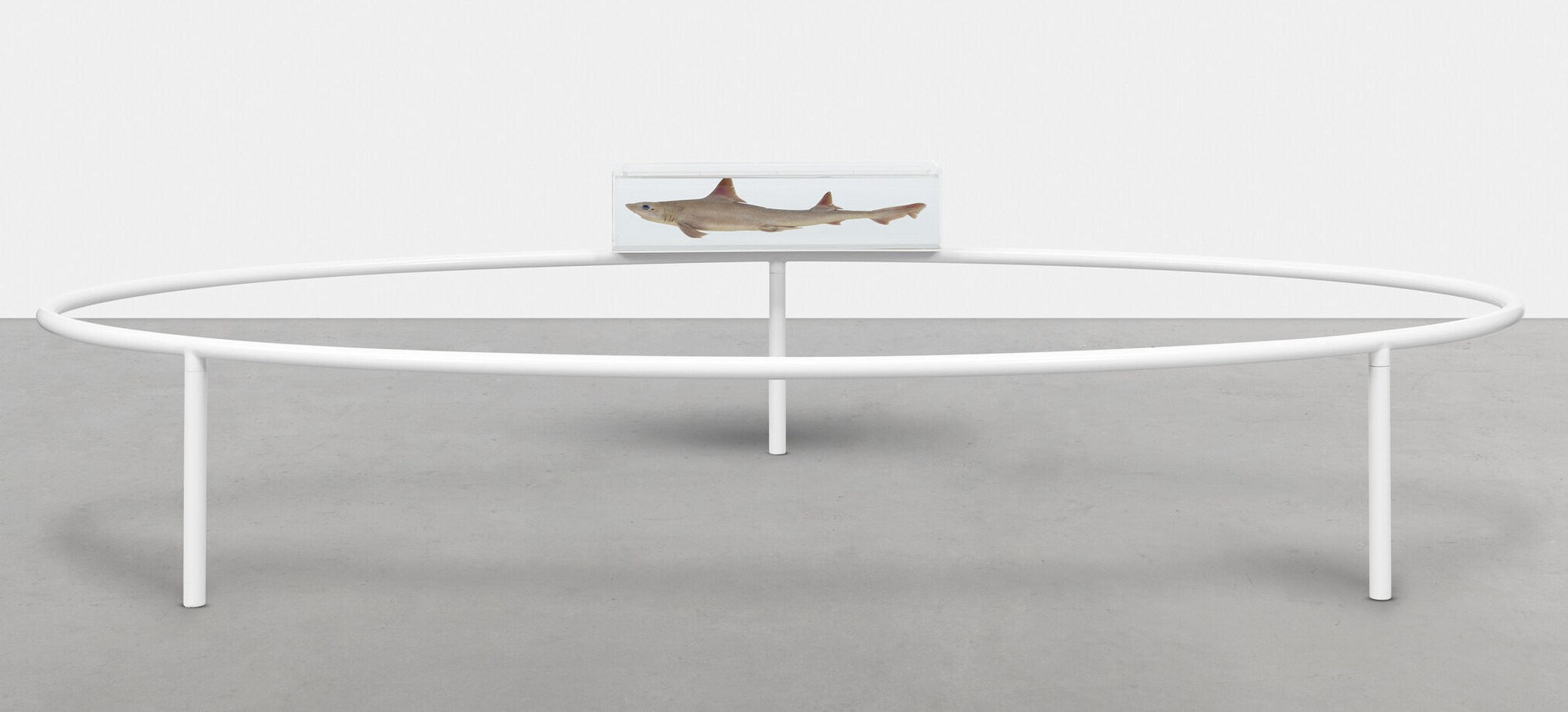 Damien Hirst (b. 1965), Swimming Form in Endless Motion, 1993. Acrylic, painted aluminium, shark and formaldehyde solution. 36 x 144 x 72 in (91 x 365.8 x 182 cm). Sold for £1,722,000 on 1 March 2022 at Christie’s in London