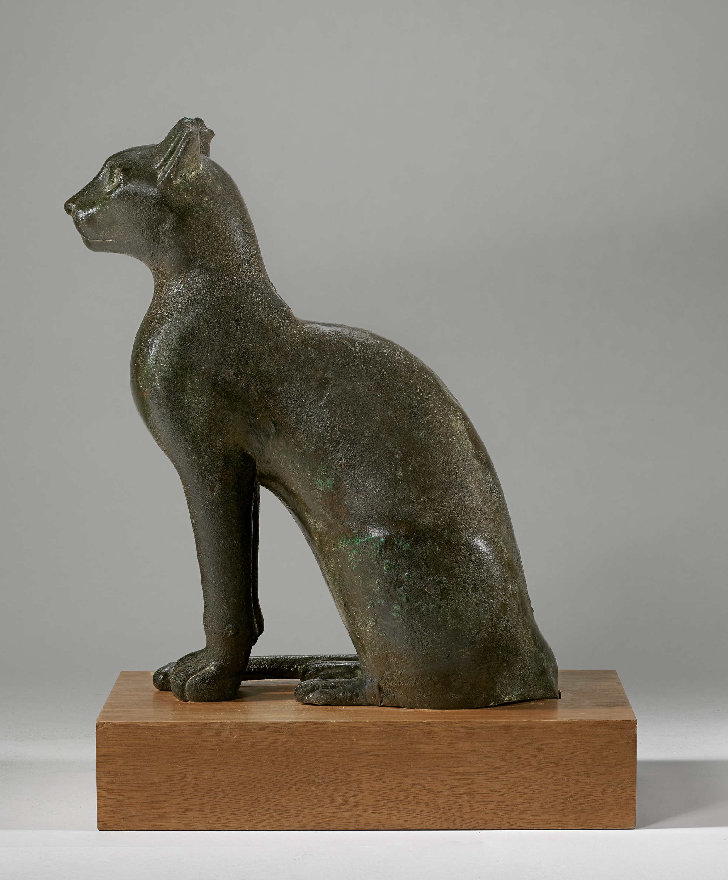 An Egyptian bronze cat, Ptolemaic period, c. 332-30 B.C. 14¾ in (37.4 cm) high. Estimate: $700,000-900,000. Offered in Antiquities on 12 April at Christie's in New York