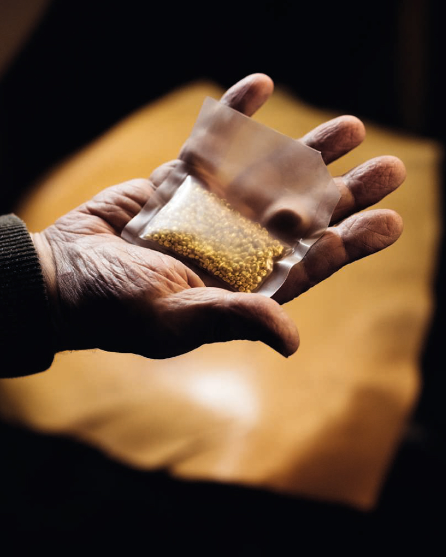 18 ounces of refined pure gold. Photos: Geordie Wood