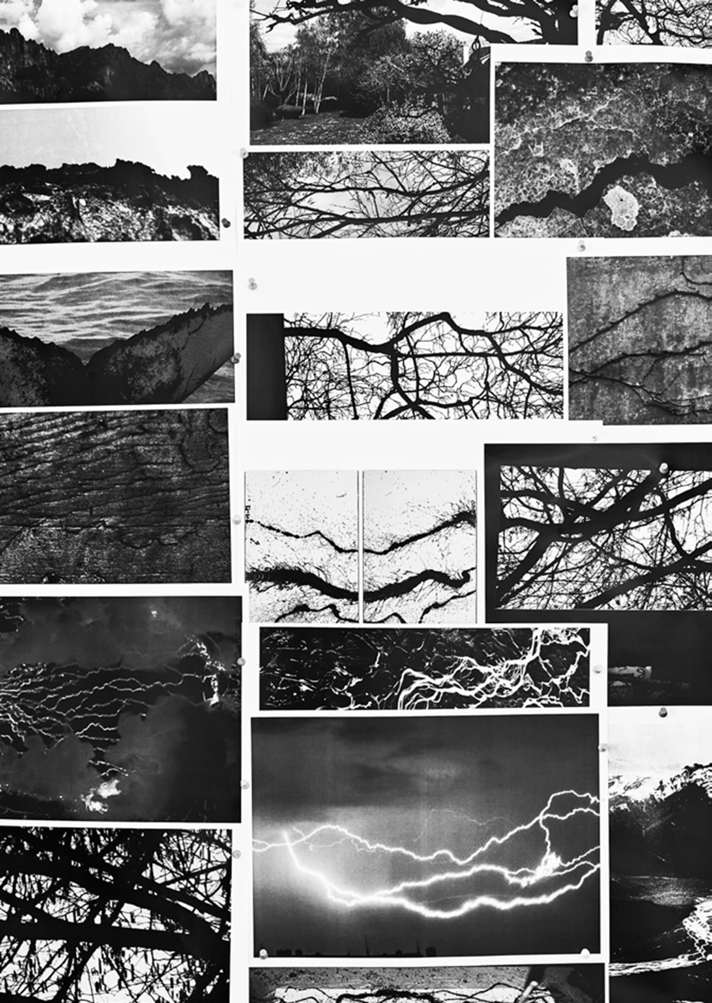 Cuttings pinned on a wall of Verdier's studio. The pigments of the artist's Energy Lines canvases are intended, she says, to 'create fields of maximal energetic vibrations that vary depending on the light'