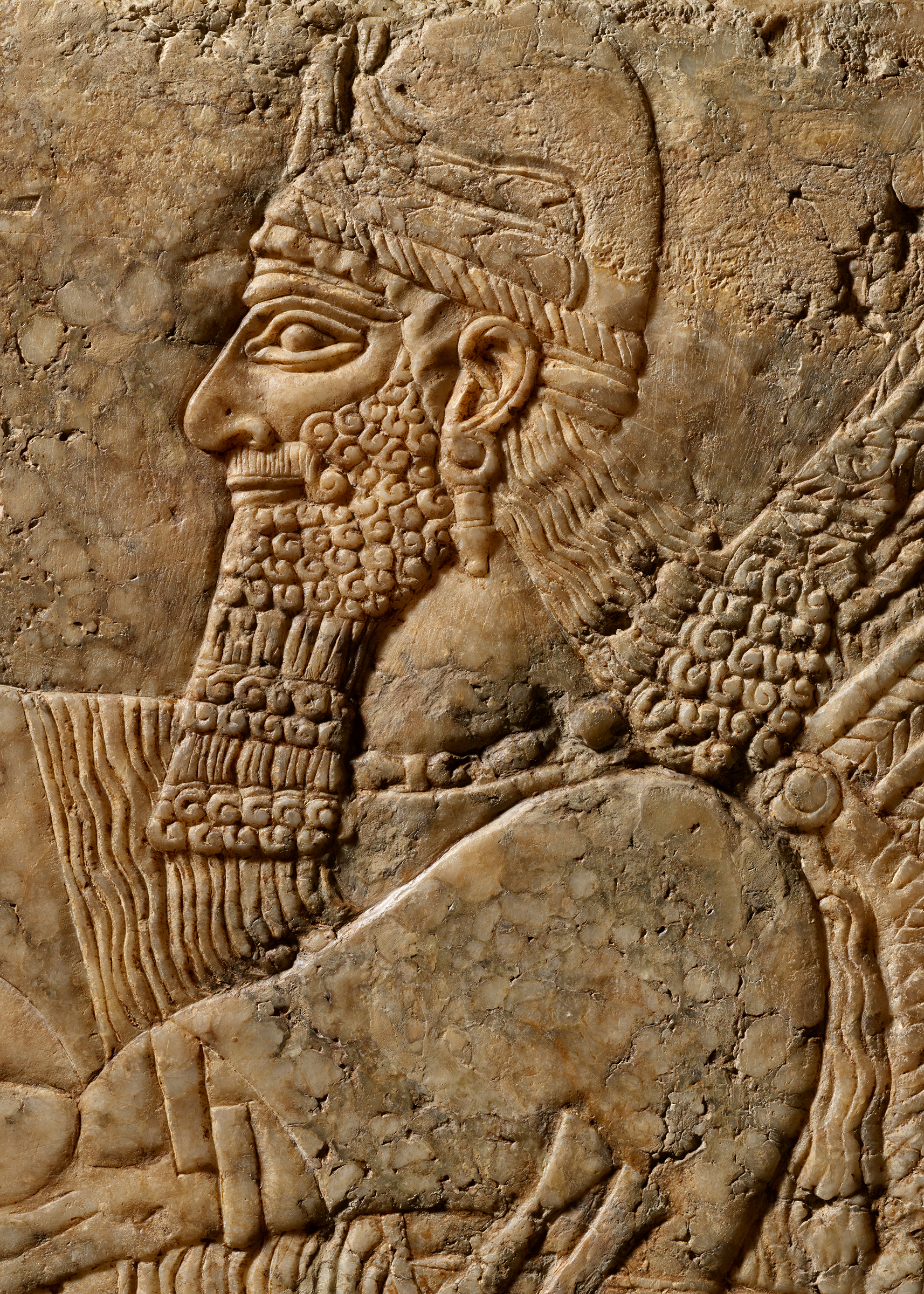 亞述石膏翼神浮雕,阿舒爾納西爾帕二世的統治時期(約公元前883至859年)制(局部)。26½ x 29⅝ 英寸(67.5 x 75.2 公分)。估價:2,500,000-4,000,000英鎊。此拍品將於2023年10月13日在佳士得倫敦「塞繆爾‧約瑟夫維茲珍藏:樂於探索的淵博人生」拍賣中呈獻