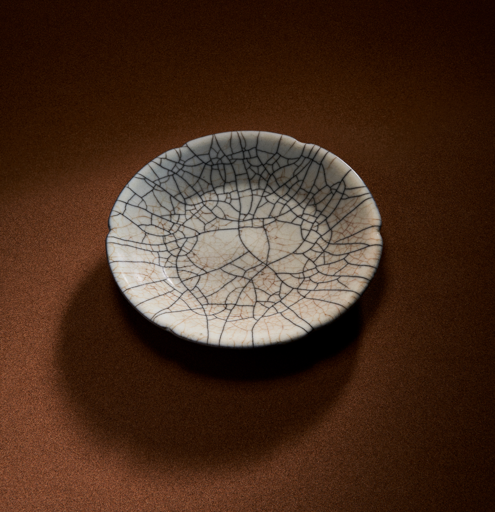 dish