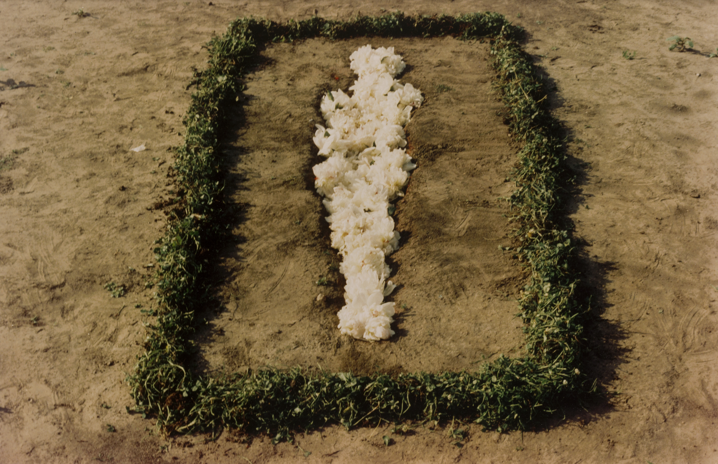 ana mendieta