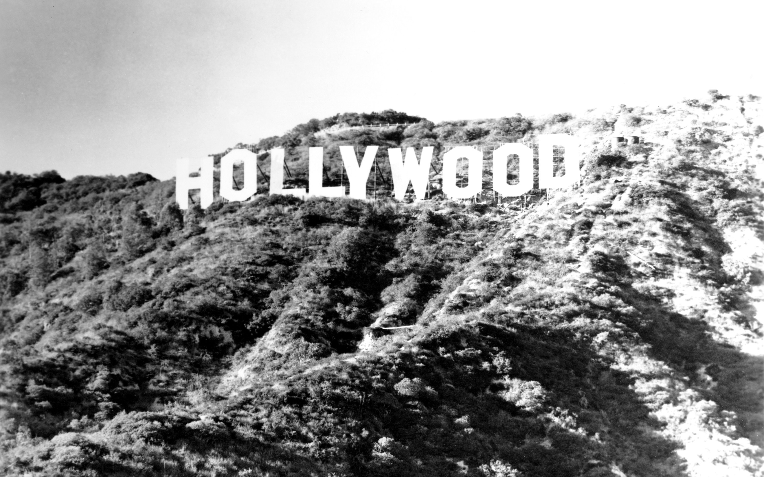 hollywood