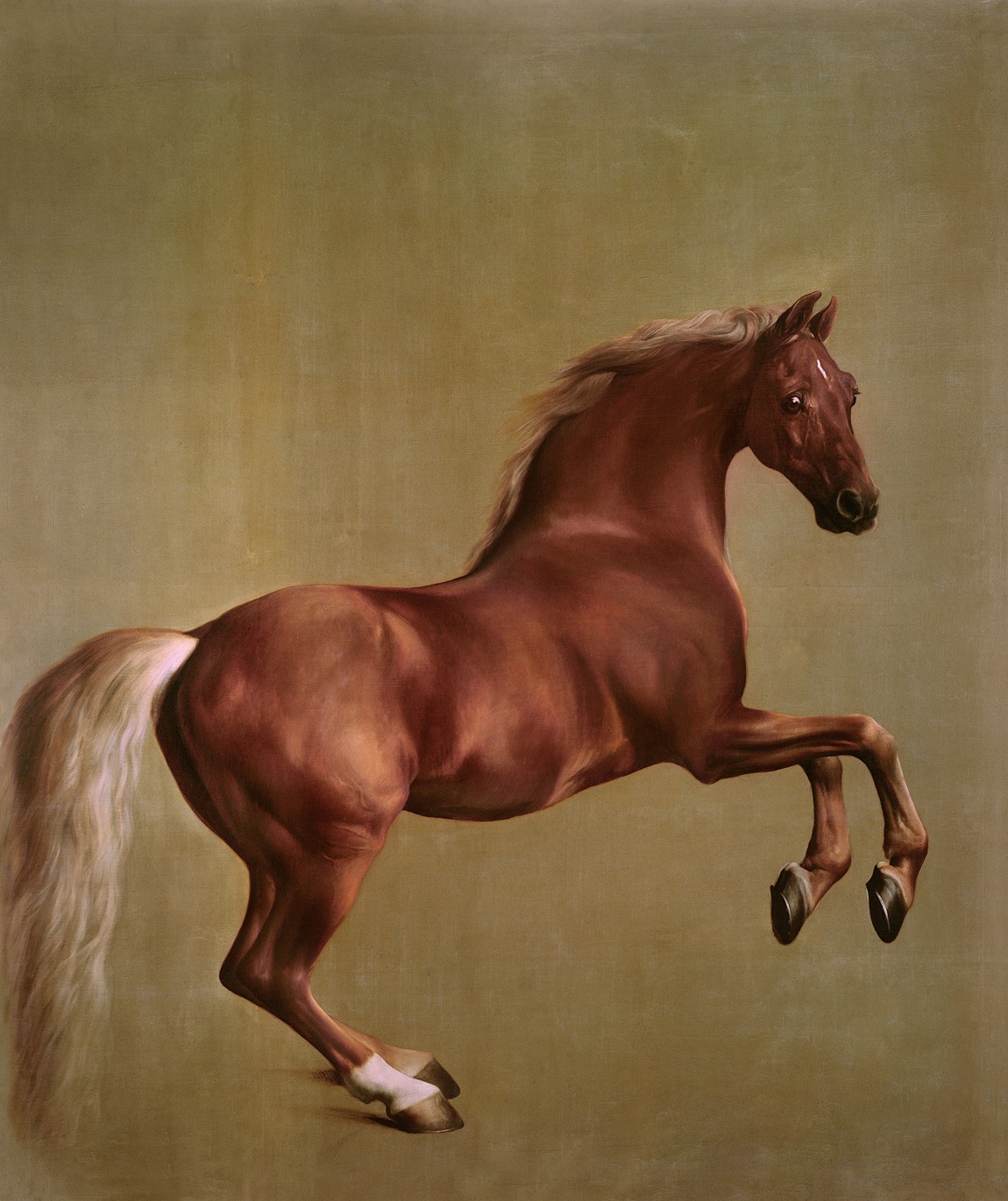 George Stubbs A R A (1724 1806) Whistlejacket circa 1762 Oil on